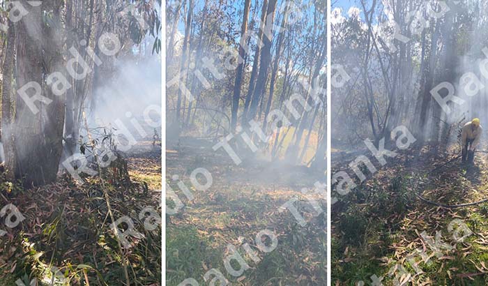 Profesora de inicial pierde la vida cuando apagaba incendio forestal en Ayaorcco